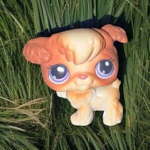 Poodle #37 Littlest Pet Shop LPS Hasbro Authentic Playful Puppies‎